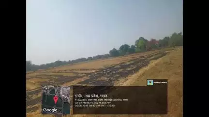 बिचौली हप्सी: कृषि कॉलेज द्वारा पराली जलाने पर लगाया गया जुर्माना, कलेक्टर ने पराली जलाने पर लगाया है प्रतिबंध