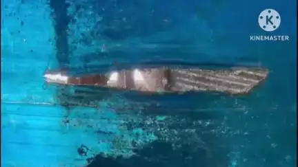মৰিয়নি: চেলেংহাট পশু চিকিৎসালয়ৰ অৱস্থা অতি ভয়ংকৰ , যিকোনো মূহুৰ্তত খহিব পাৰে ছাঁদ ,“DANGER” ফলকেৰে সতৰ্কবাণী বিভাগৰ