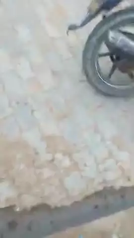 उत्तर प्रदेश जिला औरैया गांव बेला में प्रधान ने कंजरो के दम पर बेचा प्लॉट प्रधान चोरी से बचता है प्लॉट