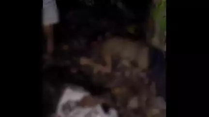 देसरी: चांदपुरा में अज्ञात वाहन की टक्कर से तीन युवकों की मौत, वीडियो हुआ वायरल