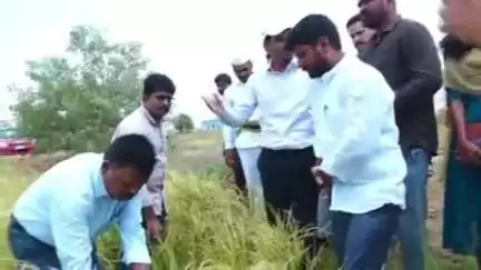 గజ్వేల్: అకాల వర్షాలతో దెబ్బతిన్న పంటల వివరాలు త్వరగా సేకరించి ప్రభుత్వానికి అందజేస్తాం : జిల్లా కలెక్టర్ మను చౌదరి