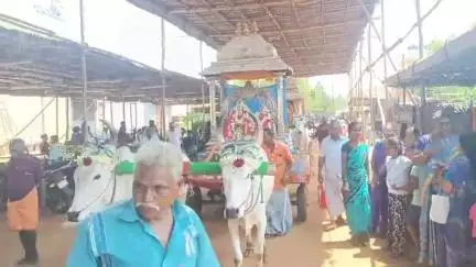 திருமயம்: அரிமளம் மீனாட்சி சுந்தரேஸ்வரர் ஆலயத்தில் பாரம்பரிய வழக்கப்படி மாட்டு வண்டியில் சுவாமி வீதி உலா