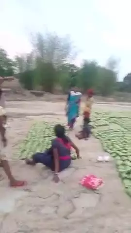 कोलेबिरा में   बीड़ी बनने के लिए घटा स्टार्ट 🙏🙏