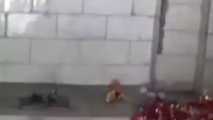 ज़ीरादेई: सुरवल गांव के श्रीराम जानकी मंदिर से श्रीराम और सीता की प्रतिमा हुई चोरी