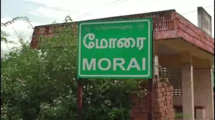 ஆவடி: மோரையில் கிருஷ்ணா கால்வாயில் குழந்தையை காப்பாற்ற சென்ற தாய் மற்றும் தாயின் சகோதரி நீரில் அடித்துச் செல்லப்பட்டு பலி