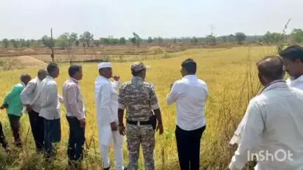 नागभिर: खासदार डॉक्टर नामदेव किरसाण यांचे नागभीड तालुक्यातील अनेक गावात गारपीट व पावसामुळे नुकसानग्रस्त भागाला भेट
