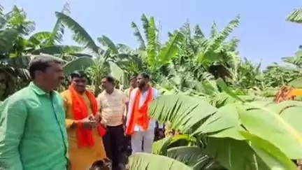 लोहा: लोहा तालुक्यात बेट सांगवी येथे वादळी वाऱ्यामुळे शेती पिकांचे, व फळबागाचे मोठे नुकसान आमदार बोंढारकर यांची माहिती
