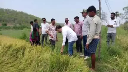 ଅମ୍ବାଭୋନା: ମୁଡାବାହାଲ ଗ୍ରାମରେ 2 ଦିନ ପୂର୍ବେ କରାମାଡ ରେ ନଷ୍ଟ ହୋଇଥିବା ଧାନଫସଲ ର ସ୍ଥିତି ଅନୁଧ୍ୟାନ କରି ଆଜି ପରିଦର୍ଶନ କଲେ ଭଟଲୀ ବିଧାୟକ