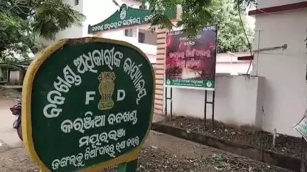 କରଞ୍ଜିଆ: ବିଉଁରିଆ ଗ୍ରାମ ନିକଟକୁ ପହଞ୍ଚିଲେ ଶିମିଳିପାଳିଆ ହାତୀପଲ