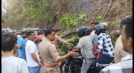 कालाढूंगी: कालाढूंगी-नैनीताल रोड पर मंगोली के पास एक विशालकाय पेड़ गिरने से यातायात पूरी तरह ठप