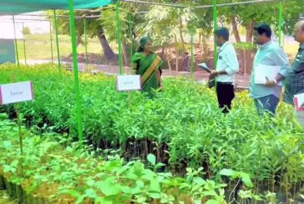 ஓமலூர்: காடையாம்பட்டி பகுதியில் நடைபெற்று வரும் வளர்ச்சி திட்டப் பணிகளை கலெக்டர் ஆய்வு