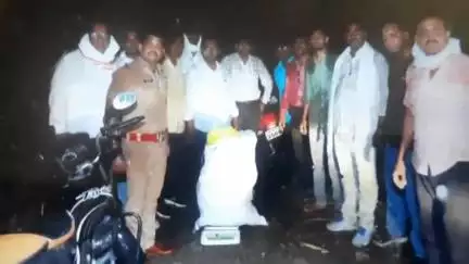 गंगाखेड: तालुक्यातील डोंगरपिंपळा शिवारातून १० किलो गांजा जप्त, स्थानिक गुन्हे शाखा व गंगाखेड पोलिसांची संयुक्त कारवाई