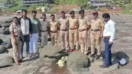 दापोली: दापोली समुद्रकिनारी व्हेल माशाच्या उलटी सदृश्यपदार्थाने खळबळ, पोलिस आणि वनविभाग घटनास्थळ दाखल