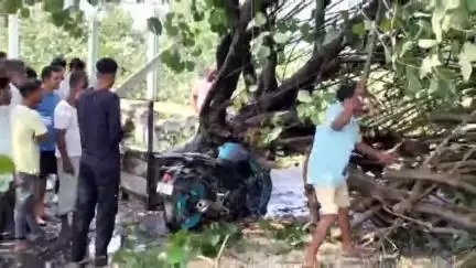 নাওবৈচা: দ'লহাটত প্ৰকাণ্ড গছ উভালি পৰিল ৰাষ্ট্ৰীয় ঘাইপথৰ ওপৰত এখন মটৰ চাইকেলৰ ওপৰত পৰিল গছ, সৃষ্টি হয় যানজঁটৰ