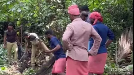 കാഞ്ഞിരപ്പള്ളി: മുണ്ടക്കയം ടൗണിന് സമീപം സ്വകാര്യ വ്യക്തിയുടെ പറമ്പിൽ നിന്ന് കൂറ്റൻ പെരുമ്പാമ്പിനെ പിടികൂടി