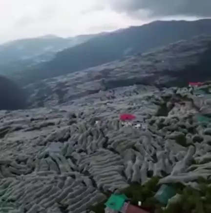 ननखड़ी: सेब की फसल को ओलावृष्टि से बचाने के लिए बागवानों ने ननखड़ी में किया एंटीहेलनैट का प्रयोग