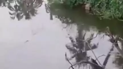 തലപ്പിള്ളി: വടക്കാഞ്ചേരിപുഴയിലെ തടസ്സങ്ങൾ നീക്കാത്ത അധികൃതരുടെ അനാസ്ഥ പ്രതിഷേധത്തിന് ഇടയാക്കുന്നു #localissue