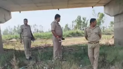थाना कांठ के ग्राम शाहपुर एत्मादपुर जंगल मे पड़ा मिला कई दिन पुराने शव का कंकाल