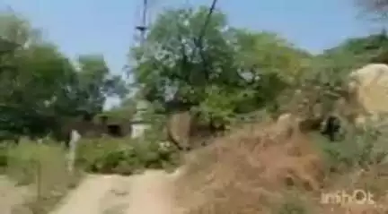 घिरोर: घिरोर तहसील क्षेत्र के गांव रहमतुल्लापुर में नीम का पेड़ टूटने से विद्युत पोल टूटा, शाम 4:00 बजे विद्युत सप्लाई प्रभावित