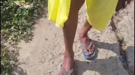 हायाघाट: अशोक पेपर मिल थाना क्षेत्र के मझौलिया गांव में सांप ने बुजुर्ग को डंसा, इलाज के बाद बची जान