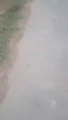 tractor hai bakhtiyarpur gotiya k