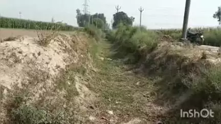 बिधूना: भटौली गांव के समीप निकले रजवाहे में पानी न होने के कारण किसान परेशान #jansamasya