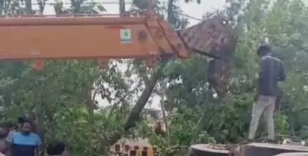 नांगल चौधरी: नांगल चौधरी बाईपास पर तेज रफ्तार ट्रक ने दूसरे ट्रक को मारी टक्कर, यूपी के ट्रक चालक की मौत