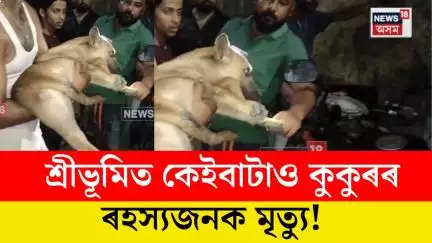 Sribhumi News। শ্ৰীভূমিত কুকুৰৰ মৃত্যুক লৈ উত্তেজনা। N18V