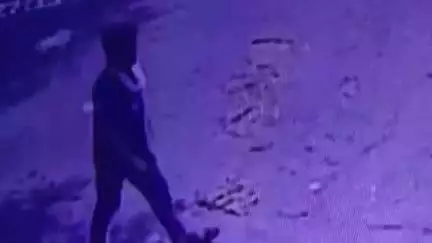 लाडपुरा: कोटा में दिन-दहाड़े बाइक चोरी का वीडियो, बदमाश ने फल-सब्जी मंडी में आधे घंटे की रेकी, सोशल मीडिया पर वीडियो वायरल