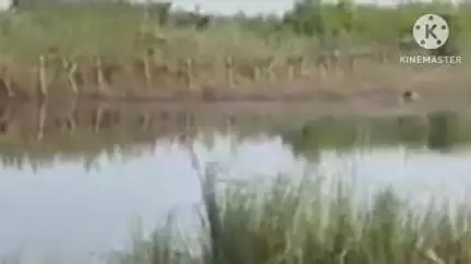বোকাখাত: ধনশিৰি নৈত এজন ৮০ বছৰীয়া লোকৰ মৃতদেহ উদ্ধাৰ, শোকৰ ছাঁ পৰিছে অঞ্চলটোত