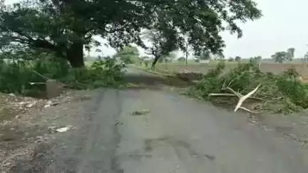 किनवट: इस्लापूर जलधरा भागात वादळी वाऱ्याने विद्युत पोल तुटून अनेक घरावर पडल्या तारा,जीवितहानी नाही मात्र महावितरणचे नुकसान