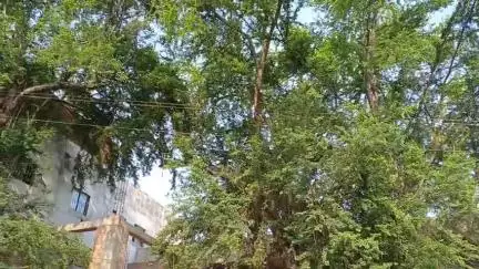 महागामा: महागामा टाउन फीडर में मंगलवार को बिजली आपूर्ति बाधित रहेगी