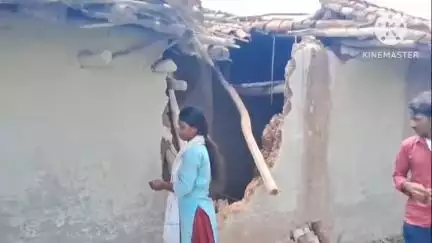 चलकुशा: कुशन में हाथियों के झुंड ने मिट्टी का घर तोड़ा, अनाज और सामान किया तहस-नहस