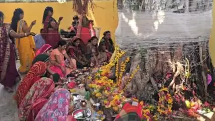 જંબુસર: જંબુસર પંથકમાં વહેલી સવારથી જ પરણીતા શ્રીઓ દ્વારા વટ સાવિત્રી પર્વની હરસોલા સાથે ઉજવણી કરાઈ
