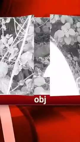 रांची// विधानसभा थाना क्षेत्र के न्यायसराय टुंढुल गांव में पुल के पास एक अज्ञात व्यक्ति का शव मिला है।#crime
