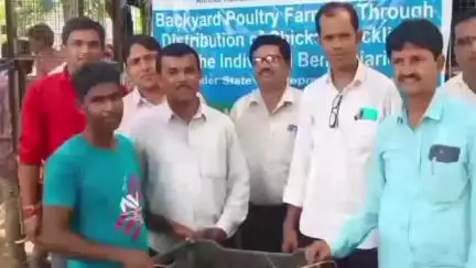 মুরারই ২: পাইকরে ব্লক এলাকার সাধারণ মানুষদের 10টি করে হাঁসের বাচ্চা প্রদান, উপস্থিত জয়েন্ট BDO সহ অন্যরা