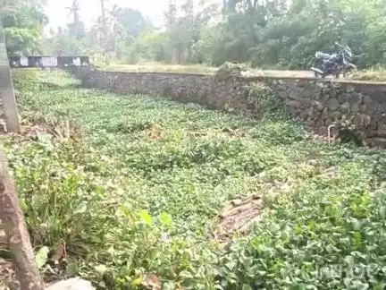 കുട്ടനാട്: മാലിന്യം നിറഞ്ഞ് വീയപുരം എരതോട്, ഉപയോഗപ്രദമാക്കണമെന്ന ആവശ്യം ശക്തം #localissue