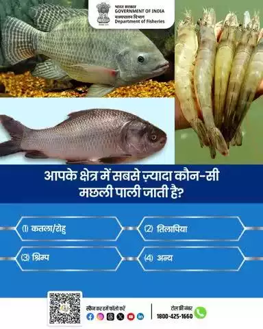 आपके क्षेत्र में सबसे ज़्यादा कौन-सी मछली पाली जाती है?
 - कतला/रोहु
 - तिलापिया 
 - श्रिम्प 
 - अन्य
अपना जवाब हमें कमेंट बॉक्स में दें।