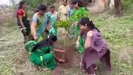 लोणार: लोणारकर उद्यान येथे वटपौर्णिमेनिमित्त समता परिषद महिला आघाडीच्या वतीने वटवृक्ष लागवड