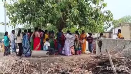 समुद्रपूर: तालुक्यात महिलांनी वटवृक्षाची पुजा करून मोठ्या उत्साहात साजरा केला वटसावित्री पौर्णिमा सण