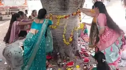 તિલકવાડા: શહેરમાં મહિલાઓએ વ્રત રાખી ધાર્મિક મંત્રોચ્ચાર સાથે વડના વૃક્ષની પુંજા કરી, વટ સાવિત્રીના ત્યોહારની ઉજવણી કરી