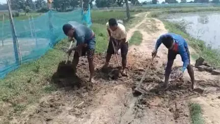 সোনামুড়া: বড়দোয়ালে পানীয় জল,বিদ্যুৎ ও রাস্তাঘাটের বেহাল দশা; রাস্তা সংস্কারের কাজে হাত লাগলেন স্থানীয়রা #jansamasya