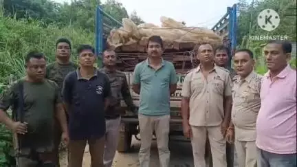 ধর্মনগর: নয়াগাঁং বাজার সংলগ্ন এলাকা থেকে আটক চেরাই কাঠ বোঝাই গাড়ি, উদ্ধার লক্ষাধিক টাকার কাঠ