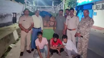 घनारी: सुरंगद्वारी-दौलतपुर रोड़ पर एक पिकअप से खैर की लकड़ी के 39 मौछे बरामद, 4 लोगों के खिलाफ केस दर्ज