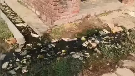 बांगरमऊ: बांगरमऊ के रसूलपुर में सफाई व्यवस्था चौपट, पांच महीने से सफाई कर्मी काम नहीं कर रहे, गंदगी का लगा अंबार लगा। #jansamasya