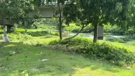 ফালাকাটা: জটেশ্বর গ্রাম পঞ্চায়েতের কাজলী হল্ট এলাকার কাজলী নদীর পাড়ে শ্মশানঘাট তৈরির দাবি আজও পূরণ হয়নি #jansamasya