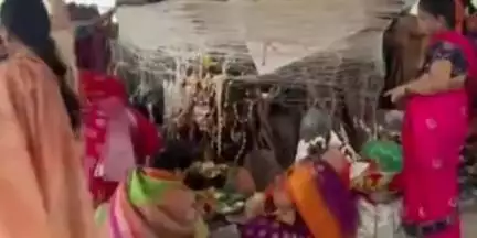 उत्तर सोलापूर: शहरातील विविध ठिकाणी वटपौर्णिमेनिमित्त महिलांनी वडाच्या झाडाला फेऱ्या घेऊन साजरी केली वटपौर्णिमा