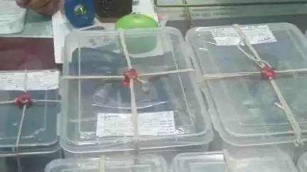 दमोह: कोतवाली पुलिस को मिली बड़ी सफलता, अवैध हथियारों के साथ 3 आरोपी गिरफ्तार, ASP संदीप मिश्रा ने दी जानकारी
