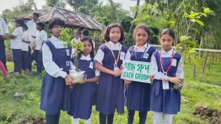 বর্ধমান ২: সড্যা উচ্চ বিদ্যালয়ে গাছ গ্ৰুপের পক্ষ থেকে বৃক্ষ রোপনের মাধ্যমে তৈরি করা হলো একটি খণ্ডবন, রক্ষার দায়িত্বে পড়ুয়ারা