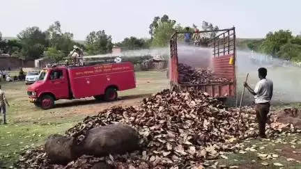 रायसेन: दीवानगंज: शॉर्ट सर्किट से तेंदूपत्ता से भरे ट्रक में आग, लाखों का तेंदूपत्ता जलकर खाक
